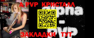 спайс Берёзовский