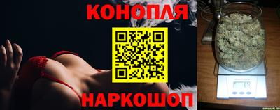 спайс Берёзовский