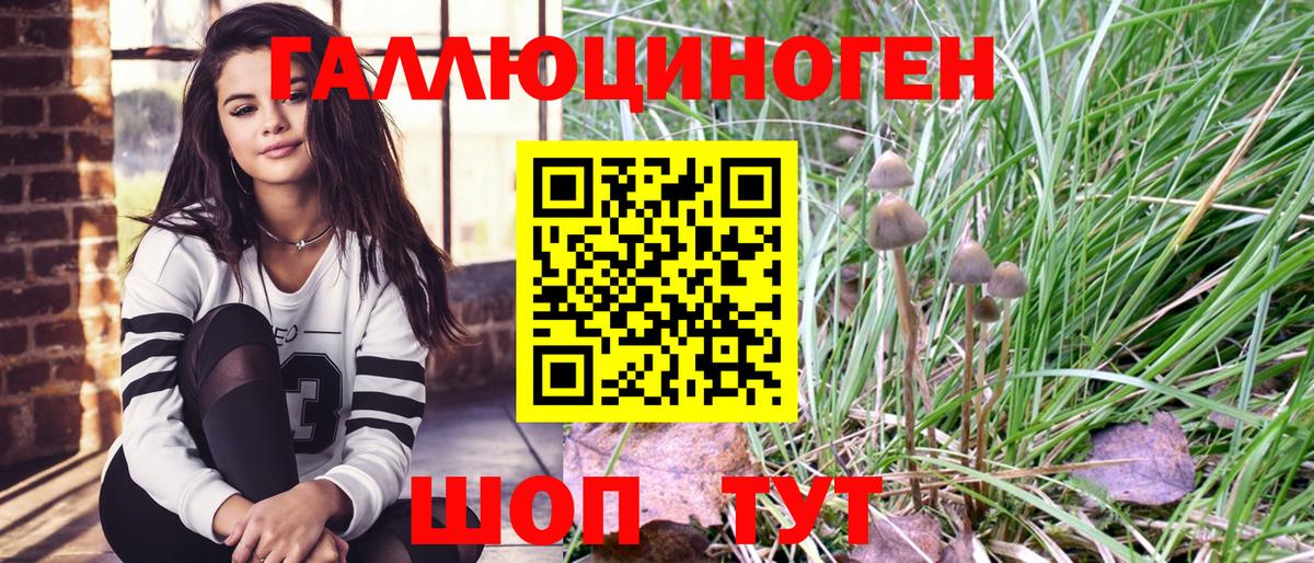 Псилоцибиновые грибы Psilocybe  Вход с VPN  Гуково  Псилоцибиновые грибы GOLDEN TEACHER 